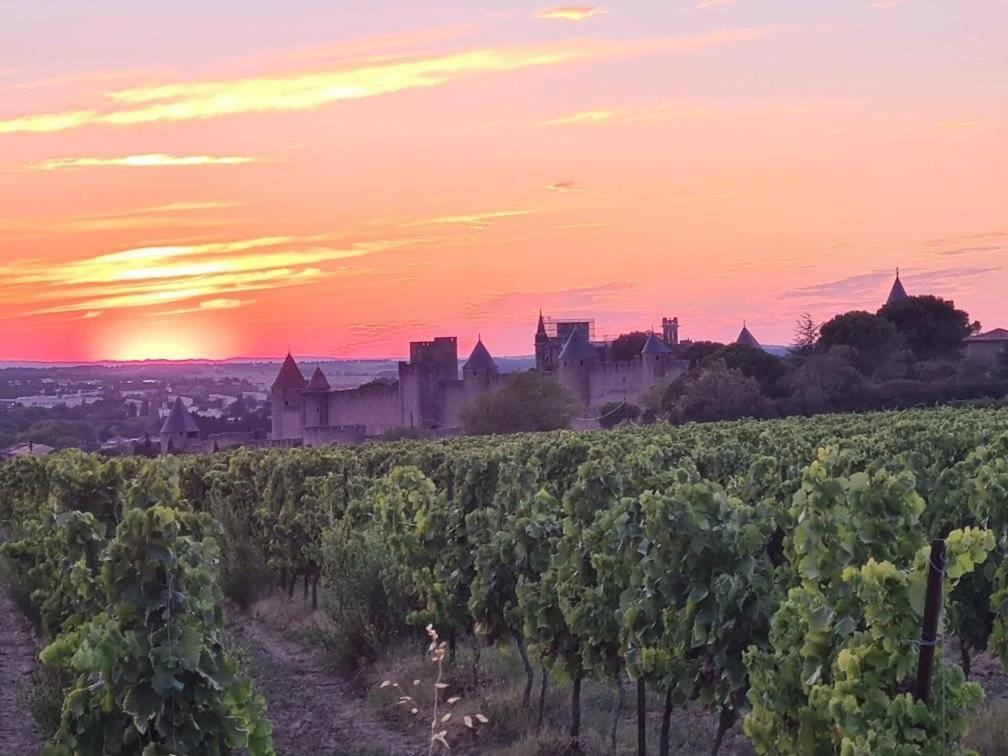 Caux-et-Sauzens Meuble De Tourisme 4 Etoiles Logis Riquet Proche De Carcassonne 빌라 외부 사진